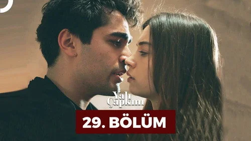 Зимородок 1 сезон 29 серия