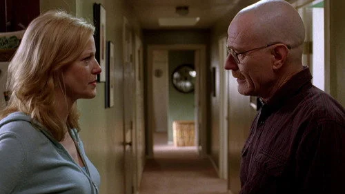 Во все тяжкие 2 сезон 12 серия — кадр