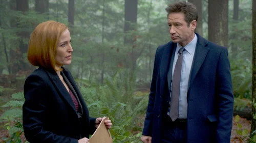 Секретные материалы 11 сезон 8 серия — кадр