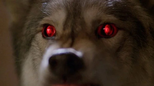 Секретные материалы 6 сезон 16 серия