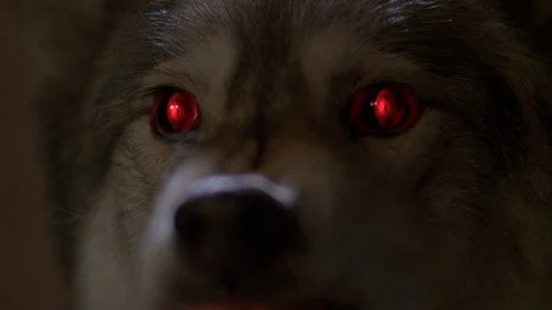 Секретные материалы 6 сезон 16 серия — кадр