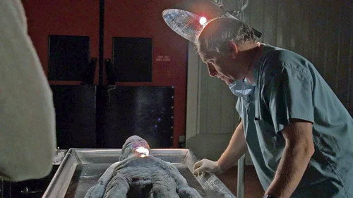 Секретные материалы 4 сезон 24 серия — кадр