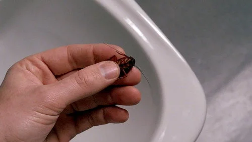 Секретные материалы 3 сезон 12 серия — кадр