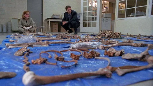 Секретные материалы 2 сезон 24 серия — кадр